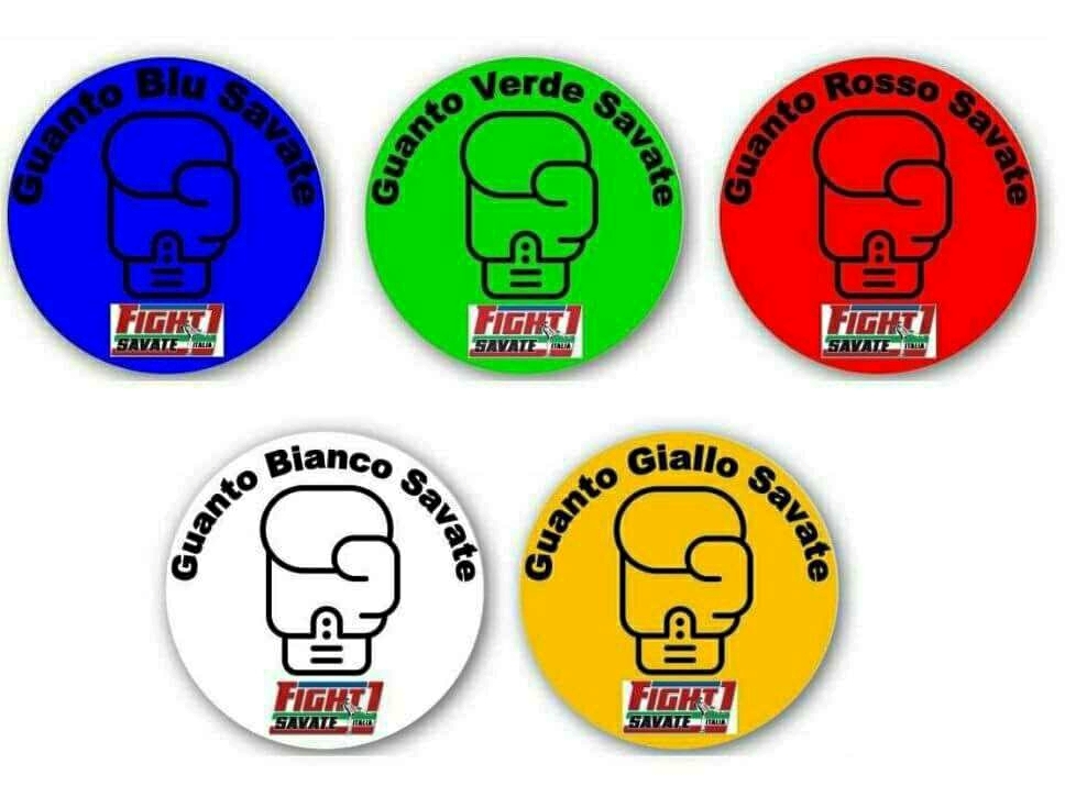 Passaggi_di_grado_Savate_-_Copia Passaggi_di_grado_Savate_-_Copia